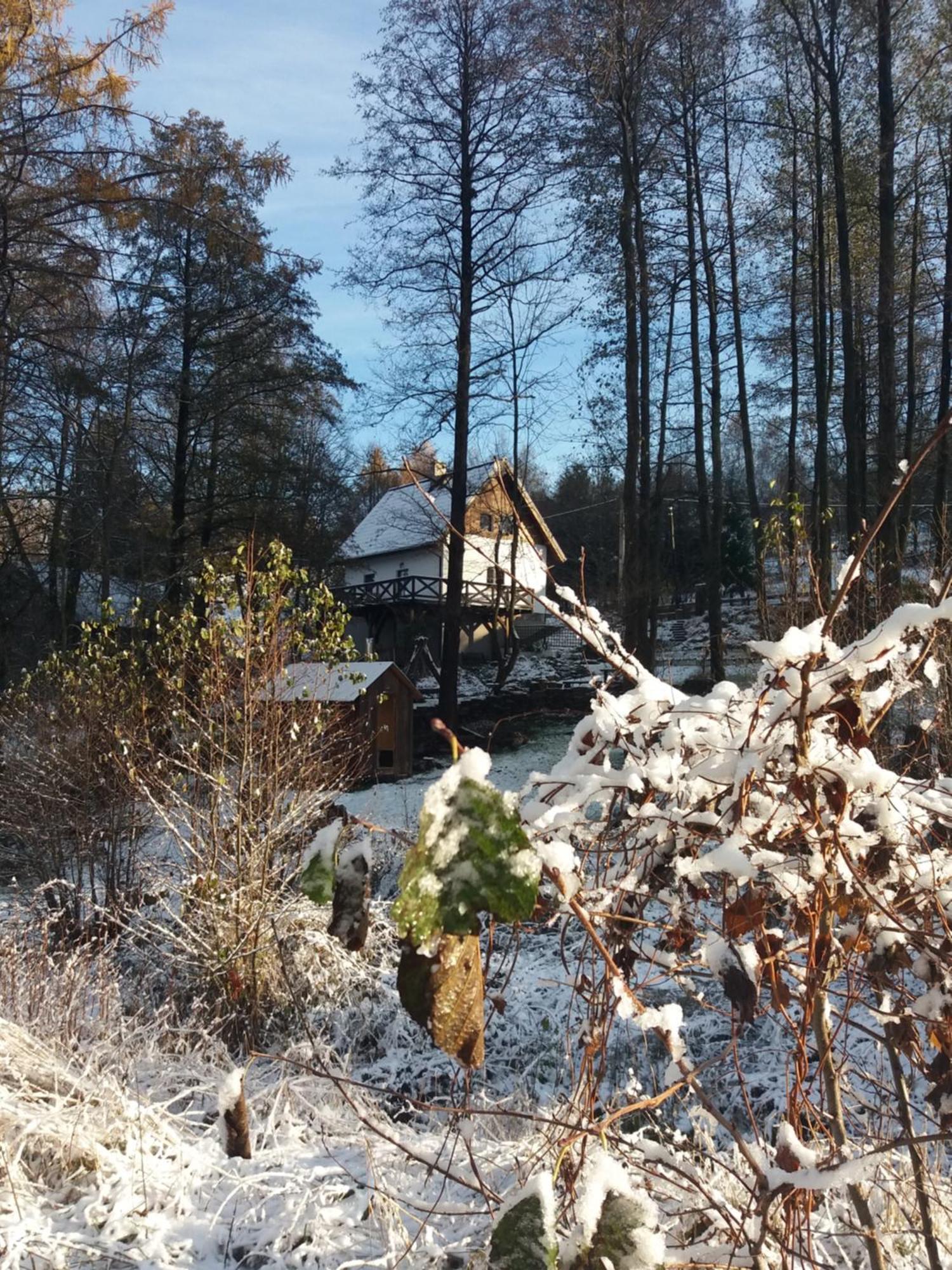 Trzy Strumyki Kąty Bystrzyckie Exterior foto